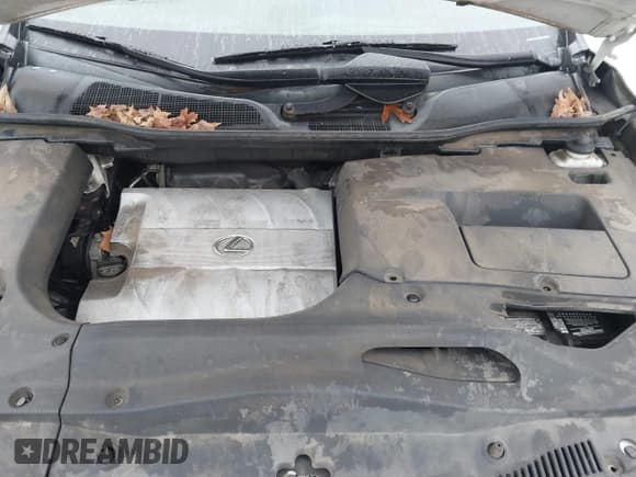 ✅ 2015 Lexus RX 350 • VIN: 2T2BK1BA5FC257633 • Lot: 43828181. Wystawiony na IAAI z przebiegiem 231 478 mil. Bezpłatny archiwum sprzedaży aukcyjnych z USA i szczegółowy raport historii pojazdu na DreamBid. Zdjęcie 10.