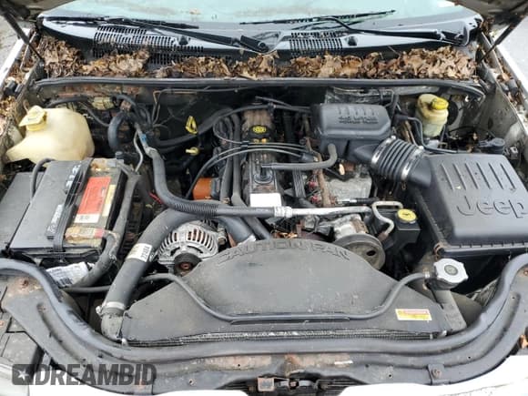 ✅ 2004 Jeep Grand Cherokee Laredo • VIN: 1J4GW48S74C288625 • Lot: 61290805. Listed on Copart with 194,615 mi. Free auction sales archive from the USA and detailed vehicle history report at DreamBid. Image 12.