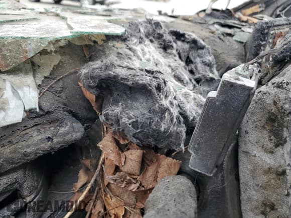 ✅ 2020 Hyundai Ioniq SE • VIN: KMHC75LC5LU242609 • Lot: 44165985. Wystawiony na Copart z przebiegiem Nie podano. Bezpłatny archiwum sprzedaży aukcyjnych z USA i szczegółowy raport historii pojazdu na DreamBid. Zdjęcie 9.