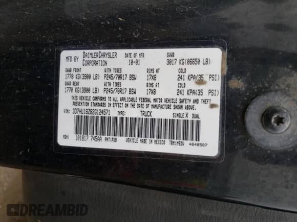 2002 Dodge 1500 with VIN 3D7HU18Z82G124571, listed as a Copart auction lot 65449724 with 228,926 mi miles and Salvage title. Bid and sale history available at DreamBid. Image 12.