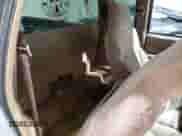 1998 Chevrolet S-10 LS с VIN 1GCCS194XW8146483, выставлен на аукционе Copart как лот 43074294 с пробегом 187 296 миль миль и Чистый • Clean title. История ставок и продаж доступна на DreamBid. Изображение 10.