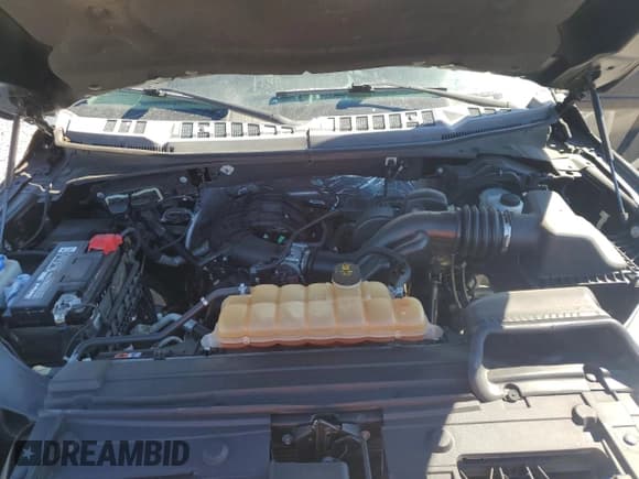 ✅ 2015 Ford F-150 XLT • VIN: 1FTEW1E84FFB19023 • Лот: 86716725. Опубликован ранее на Copart с пробегом 153 568 миль. Бесплатный доступ к архиву аукционных продаж из США и подробный отчёт об истории автомобиля на DreamBid. Изображение 11.