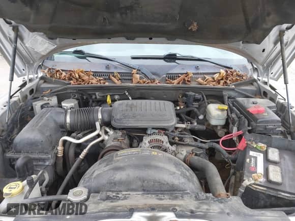 2006 Dodge Dakota ST с VIN 1D7HE28K26S504817, выставлен на аукционе IAAI как лот 43613566 с пробегом 122 602 миль миль и . История ставок и продаж доступна на DreamBid. Изображение 10.