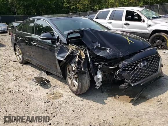 ✅ 2019 Hyundai Sonata SEL • VIN: 5NPE34AF9KH769934 • Lot: 53300243. Listed on Copart with 48,805 mi. Free auction sales archive from the USA and detailed vehicle history report at DreamBid. Image 11.