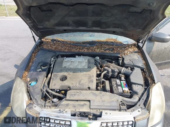 ✅ 2006 Nissan Maxima SE • VIN: 1N4BA41E56C858455 • Лот: 42380358. Опубликован ранее на IAAI с пробегом 184 886 миль. Бесплатный доступ к архиву аукционных продаж из США и подробный отчёт об истории автомобиля на DreamBid. Изображение 10.