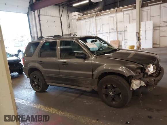✅ 2003 Ford Escape XLT Popular 2 • VIN: 1FMYU93133KB22131 • Lot: 43520309. Listed on IAAI with 219,668 mi. Free auction sales archive from the USA and detailed vehicle history report at DreamBid. Image 14.