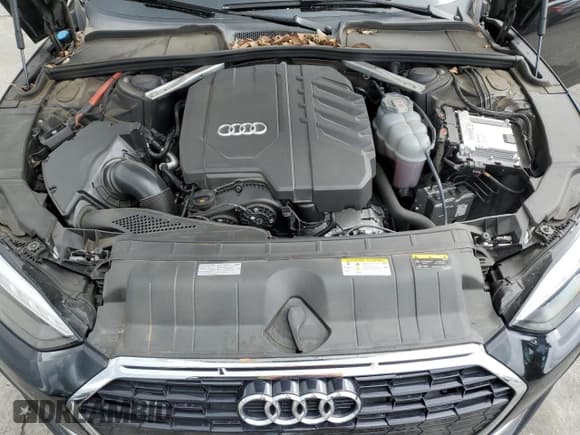 ✅ 2023 Audi A5 Sportback Premium • VIN: WAUABCF50PA026120 • Lot: 48141855. Listed on Copart with 38,272 mi. Free auction sales archive from the USA and detailed vehicle history report at DreamBid. Image 11.