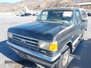 ✅ 1991 Ford Bronco Custom • VIN: 1FMEU15H8MLA48036 • Lot: 42885884. Wystawiony na IAAI z przebiegiem 2 187 mil. Bezpłatny archiwum sprzedaży aukcyjnych z USA i szczegółowy raport historii pojazdu na DreamBid. Zdjęcie 6.