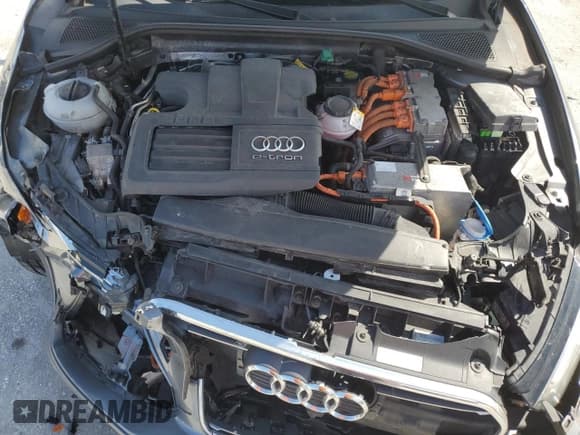 ✅ 2016 Audi A3 e-tron Premium Plus • VIN: WAUTPBFF8GA096297 • Лот: 80085485. Опубликован ранее на Copart с пробегом 141 670 миль. Бесплатный доступ к архиву аукционных продаж из США и подробный отчёт об истории автомобиля на DreamBid. Изображение 11.