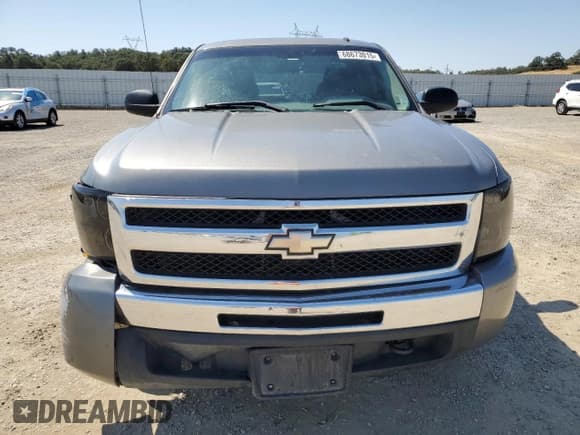 ✅ 2009 Chevrolet Silverado 1500 Work Truck • VIN: 1GCEC19C99Z147166 • Lot: 68673015. Wystawiony na Copart z przebiegiem 257 105 mil. Bezpłatny archiwum sprzedaży aukcyjnych z USA i szczegółowy raport historii pojazdu na DreamBid. Zdjęcie 5.