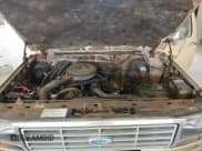 ✅ 1985 Ford F-150 • VIN: 1FTDF15Y7FNA75147 • Lot: 85775085. Wystawiony na Copart z przebiegiem 5 686 mil. Bezpłatny archiwum sprzedaży aukcyjnych z USA i szczegółowy raport historii pojazdu na DreamBid. Zdjęcie 11.