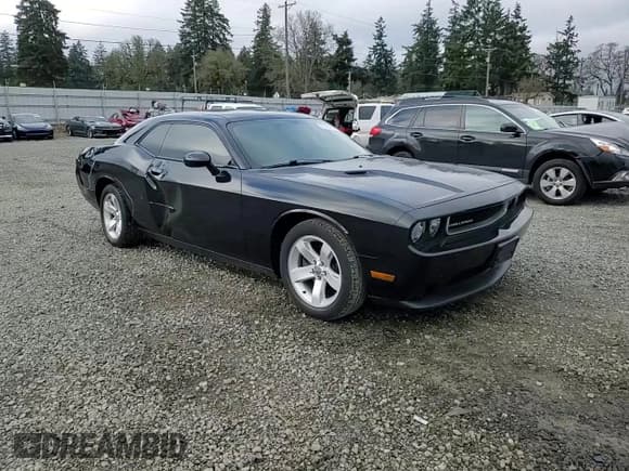 ✅ 2013 Dodge Challenger SXT Plus • VIN: 2C3CDYAG3DH718689 • Lot: 88508555. Listed on Copart with 110,249 mi. Free auction sales archive from the USA and detailed vehicle history report at DreamBid. Image 10.