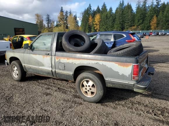 1991 Chevrolet S-10 EL X81 with VIN 1GCCT14ZXM0188776, listed as a Copart auction lot 78316434 with 266,519 mi miles and Clean title. Bid and sale history available at DreamBid. Image 2.
