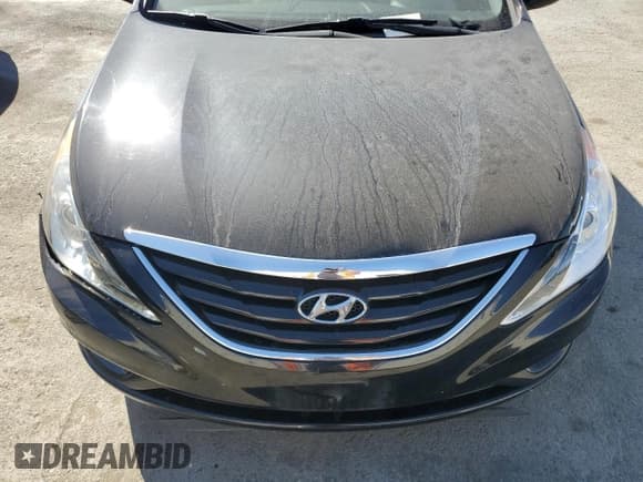 ✅ 2013 Hyundai Sonata GLS • VIN: 5NPEB4AC4DH781209 • Lot: 72837734. Listed on Copart with Not provided. Free auction sales archive from the USA and detailed vehicle history report at DreamBid. Image 11.