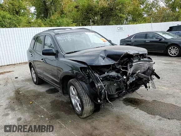 ✅ 2009 Hyundai Santa Fe Limited • VIN: 5NMSH13E39H324569 • Lot: 86594255. Listed on Copart with Not provided. Free auction sales archive from the USA and detailed vehicle history report at DreamBid. Image 13.