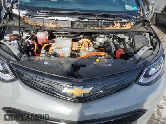 ✅ 2021 Chevrolet Bolt EV LT • VIN: 1G1FY6S09M4101600 • Lot: 43694675. Wystawiony na Copart z przebiegiem 25 034 mil. Bezpłatny archiwum sprzedaży aukcyjnych z USA i szczegółowy raport historii pojazdu na DreamBid. Zdjęcie 11.