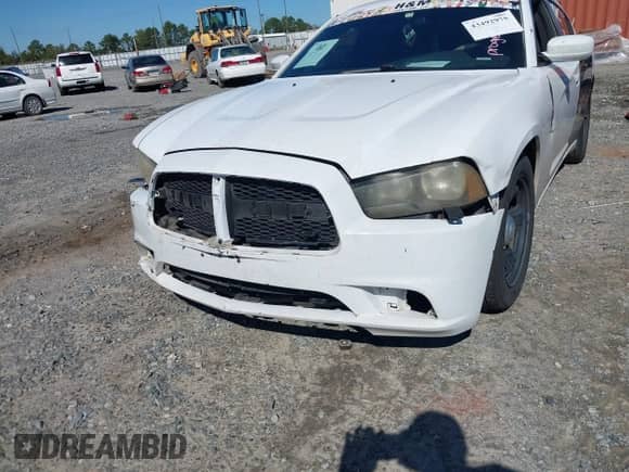 2014 Dodge Charger Police with VIN 2C3CDXAG3EH193595, listed as a IAAI auction lot 43492975 with 174,213 mi miles and . Bid and sale history available at DreamBid. Image 6.