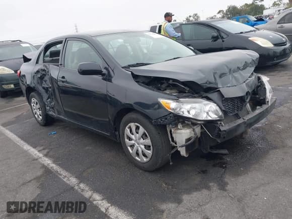 ✅ 2010 Toyota Corolla • VIN: 1NXBU4EE8AZ243103 • Лот: 42724663. Опубликован ранее на IAAI с пробегом 115 050 миль. Бесплатный доступ к архиву аукционных продаж из США и подробный отчёт об истории автомобиля на DreamBid. Изображение 1.