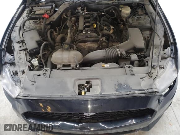 ✅ 2016 Ford Mustang EcoBoost • VIN: 1FA6P8TH4G5325856 • Lot: 61109794. Listed on Copart with 110,542 mi. Free auction sales archive from the USA and detailed vehicle history report at DreamBid. Image 11.