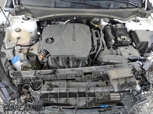 ✅ 2023 Kia Sportage X-Pro • VIN: 5XYK7CAF7PG018704 • Lot: 61930275. Listed on Copart with 54,788 mi. Free auction sales archive from the USA and detailed vehicle history report at DreamBid. Image 12.