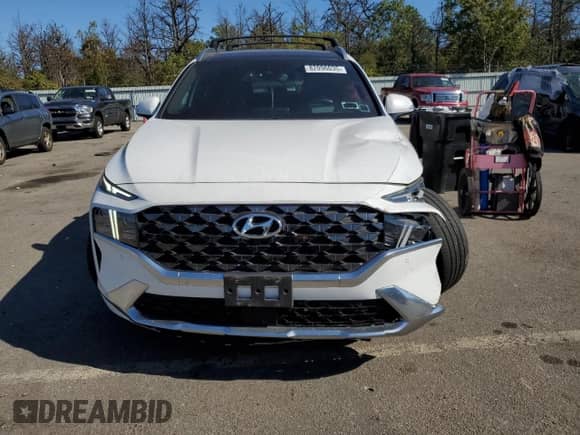 2023 Hyundai Santa Fe Calligraphy with VIN 5NMS5DAL6PH520255, listed as a Copart auction lot 82090035 with 44,423 mi miles and Salvage title. Bid and sale history available at DreamBid. Image 5.