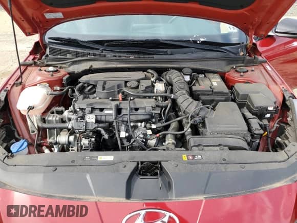 2022 Hyundai Elantra N Line с VIN KMHLR4AF9NU235540, выставлен на аукционе Copart как лот 81882545 с пробегом 25 324 миль миль и Списание • Salvage title. История ставок и продаж доступна на DreamBid. Изображение 11.