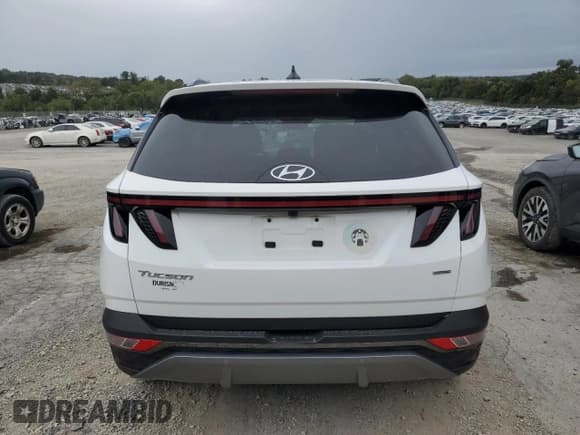 ✅ 2024 Hyundai Tucson Limited • VIN: 5NMJECDE4RH335403 • Лот: 81049365. Опубликован ранее на Copart с пробегом 26 619 миль. Бесплатный доступ к архиву аукционных продаж из США и подробный отчёт об истории автомобиля на DreamBid. Изображение 6.