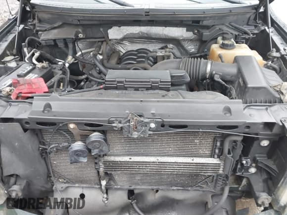 ✅ 2012 Ford F-150 XL • VIN: 1FTFX1EF5CFB82112 • Лот: 41683025. Опубликован ранее на IAAI с пробегом 202 686 миль. Бесплатный доступ к архиву аукционных продаж из США и подробный отчёт об истории автомобиля на DreamBid. Изображение 10.