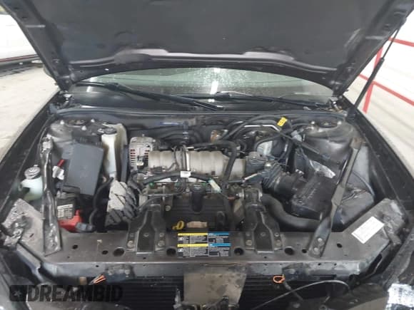 ✅ 2008 Pontiac Grand Prix • VIN: 2G2WP552381179264 • Lot: 42858632. Wystawiony na IAAI z przebiegiem 113 030 mil. Bezpłatny archiwum sprzedaży aukcyjnych z USA i szczegółowy raport historii pojazdu na DreamBid. Zdjęcie 10.