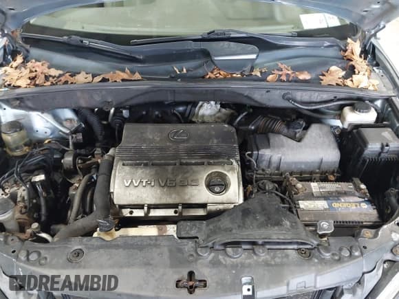 ✅ 2004 Lexus RX 330 • VIN: 2T2HA31U24C022754 • Lot: 43814045. Wystawiony na IAAI z przebiegiem 253 489 mil. Bezpłatny archiwum sprzedaży aukcyjnych z USA i szczegółowy raport historii pojazdu na DreamBid. Zdjęcie 10.