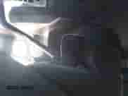 2008 Dodge 1500 SLT with VIN 3D7KS19D68G127007, listed as a IAAI auction lot 43111391 with 146,998 mi miles and . Bid and sale history available at DreamBid. Image 11.