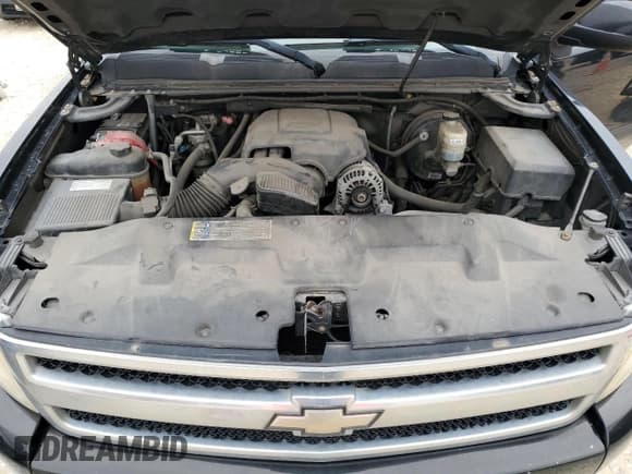 ✅ 2009 Chevrolet Silverado 1500 • VIN: 1GCEC39019Z172189 • Lot: 42646885. Listed on Copart with 191,504 mi. Free auction sales archive from the USA and detailed vehicle history report at DreamBid. Image 11.