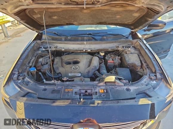 ✅ 2016 Mazda CX-9 Touring • VIN: JM3TCACY5G0113441 • Lot: 94389065. Wystawiony na Copart z przebiegiem 175 857 mil. Bezpłatny archiwum sprzedaży aukcyjnych z USA i szczegółowy raport historii pojazdu na DreamBid. Zdjęcie 12.