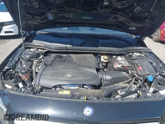 ✅ 2016 Mercedes-Benz GLA 250 • VIN: WDCTG4GB2GJ207964 • Lot: 43364824. Wystawiony na IAAI z przebiegiem 137 514 mil. Bezpłatny archiwum sprzedaży aukcyjnych z USA i szczegółowy raport historii pojazdu na DreamBid. Zdjęcie 10.