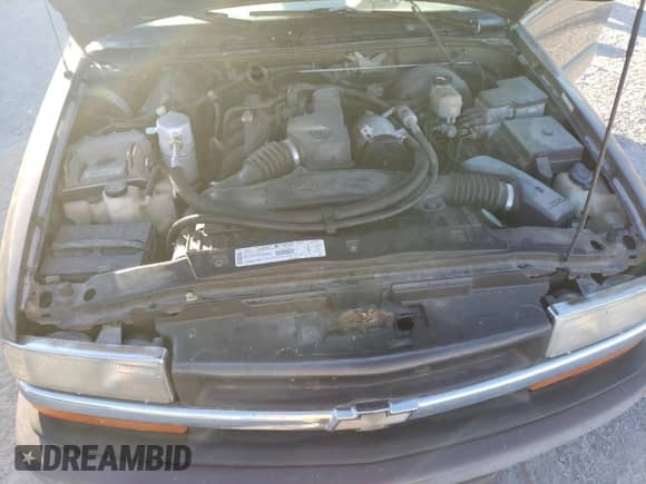 1999 Chevrolet S-10 LS with VIN 1GCCS1442XK120861, listed as a Copart auction lot 75468704 with 214,472 mi miles and Clean title. Bid and sale history available at DreamBid. Image 11.