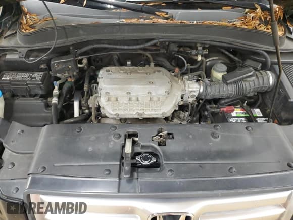 ✅ 2006 Honda Pilot EX • VIN: 5FNYF184X6B008227 • Lot: 90393555. Listed on Copart with 179,402 mi. Free auction sales archive from the USA and detailed vehicle history report at DreamBid. Image 12.