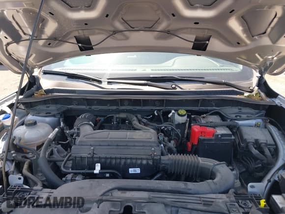 ✅ 2024 Ford Escape ST-Line • VIN: 1FMCU9MN1RUB32553 • Lot: 42800529. Wystawiony na IAAI z przebiegiem 29 437 mil. Bezpłatny archiwum sprzedaży aukcyjnych z USA i szczegółowy raport historii pojazdu na DreamBid. Zdjęcie 10.