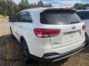 ✅ 2017 Kia Sorento EX • VIN: 5XYPHDA56HG270770 • Lot: 43248963. Listed on IAAI with 123,753 mi. Free auction sales archive from the USA and detailed vehicle history report at DreamBid. Image 3.