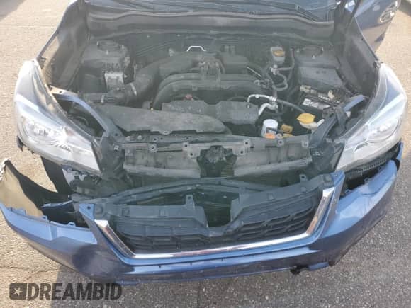 2017 Subaru Forester Limited with VIN JF2SJAJC5HH403474, listed as a Copart auction lot 85327165 with 124,083 mi miles and Non repairable. Bid and sale history available at DreamBid. Image 12.