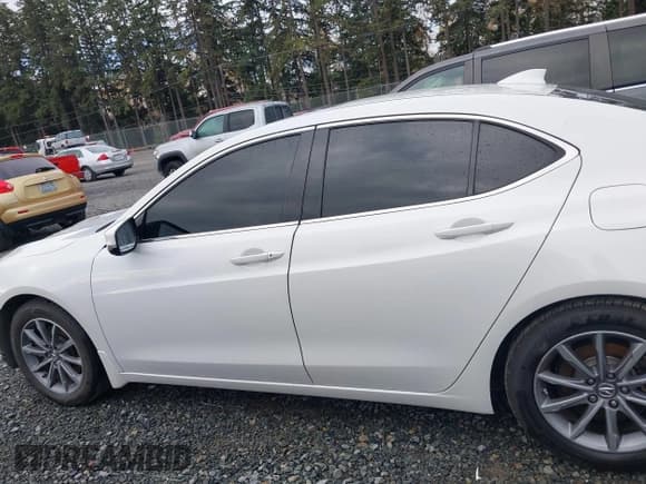 ✅ 2019 Acura TLX • VIN: 19UUB1F31KA003460 • Lot: 43768390. Listed on IAAI with 87,636 mi. Free auction sales archive from the USA and detailed vehicle history report at DreamBid. Image 15.