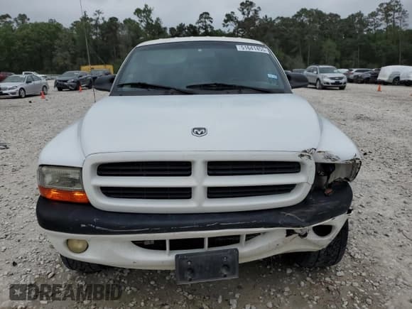 ✅ 2000 Dodge Dakota Sport • VIN: 1B7GG2AN8YS668046 • Lot: 51641455. Wystawiony na Copart z przebiegiem 229 879 mil. Bezpłatny archiwum sprzedaży aukcyjnych z USA i szczegółowy raport historii pojazdu na DreamBid. Zdjęcie 5.