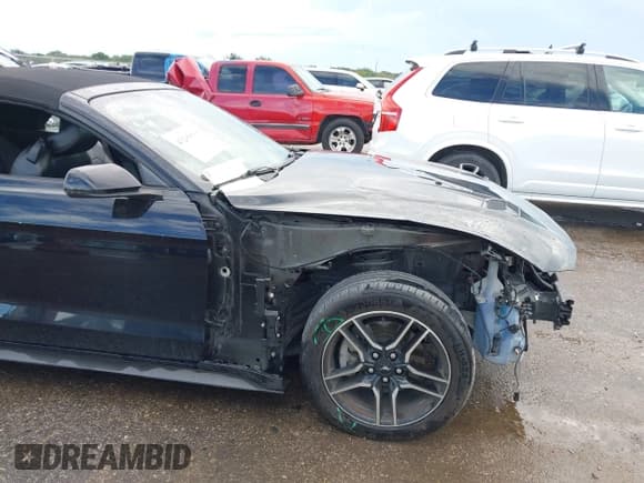 ✅ 2019 Ford Mustang EcoBoost • VIN: 1FATP8UHXK5182003 • Lot: 43299698. Listed on IAAI with 95,940 mi. Free auction sales archive from the USA and detailed vehicle history report at DreamBid. Image 6.
