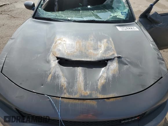 ✅ 2019 Dodge Charger GT • VIN: 2C3CDXHGXKH571834 • Lot: 89452235. Wystawiony na Copart z przebiegiem 105 382 mil. Bezpłatny archiwum sprzedaży aukcyjnych z USA i szczegółowy raport historii pojazdu na DreamBid. Zdjęcie 11.