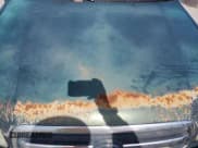 ✅ 2000 Toyota Tundra Limited • VIN: 5TBRT3817YS124376 • Лот: 85721315. Опубликован ранее на Copart с пробегом Не указан. Бесплатный доступ к архиву аукционных продаж из США и подробный отчёт об истории автомобиля на DreamBid. Изображение 11.