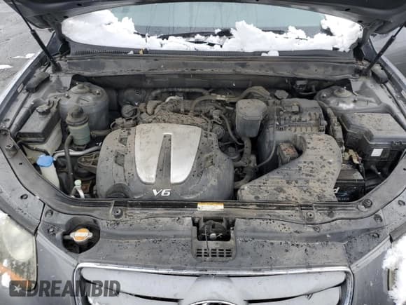 ✅ 2010 Hyundai Santa Fe SE • VIN: 5NMSH4AG7AH401115 • Lot: 79569044. Listed on Copart with 107,166 mi. Free auction sales archive from the USA and detailed vehicle history report at DreamBid. Image 14.