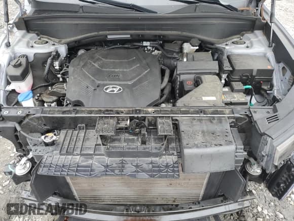 ✅ 2024 Hyundai Palisade SEL • VIN: KM8R44GEXRU698574 • Lot: 89899055. Wystawiony na Copart z przebiegiem 24 625 mil. Bezpłatny archiwum sprzedaży aukcyjnych z USA i szczegółowy raport historii pojazdu na DreamBid. Zdjęcie 12.