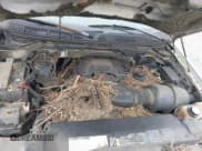 ✅ 2001 Ford F-150 XL • VIN: 1FTRX17L11NB54097 • Лот: 42353176. Опубликован ранее на IAAI с пробегом 258 729 миль. Бесплатный доступ к архиву аукционных продаж из США и подробный отчёт об истории автомобиля на DreamBid. Изображение 10.