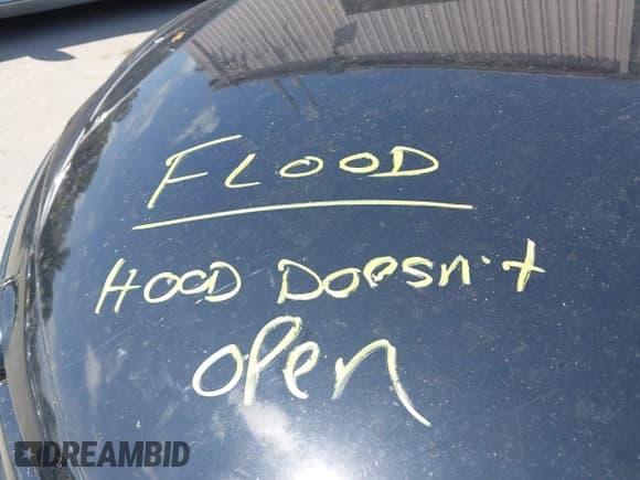 ✅ 2007 Mazda 6 i Sport VE • VIN: 1YVHP80C375M25341 • Лот: 42775479. Опубликован ранее на IAAI с пробегом Не указан. Бесплатный доступ к архиву аукционных продаж из США и подробный отчёт об истории автомобиля на DreamBid. Изображение 6.