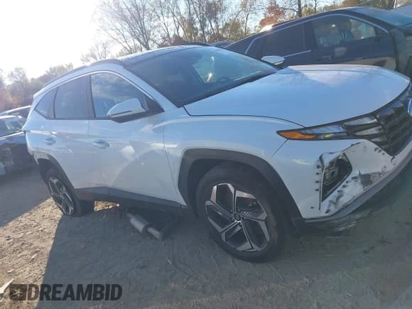 ✅ 2022 Hyundai Tucson SEL Convenience • VIN: KM8JFCA16NU041904 • Lot: 43451001. Wystawiony na IAAI z przebiegiem 98 847 mil. Bezpłatny archiwum sprzedaży aukcyjnych z USA i szczegółowy raport historii pojazdu na DreamBid. Zdjęcie 13.