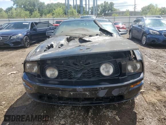 ✅ 2006 Ford Mustang GT Deluxe • VIN: 1ZVFT82H365105501 • Lot: 69504715. Listed on Copart with Not provided. Free auction sales archive from the USA and detailed vehicle history report at DreamBid. Image 5.